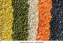 Premium Pulses Combo – Toor Dal, Moong Dal, Masoor Dal & Chana Dal